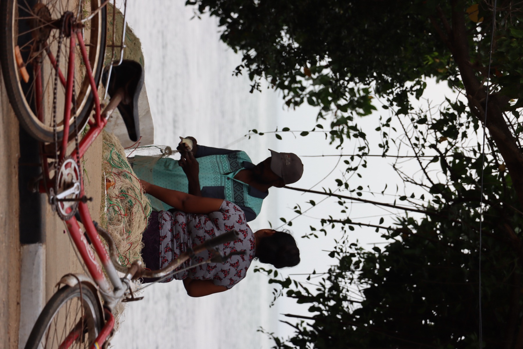 Vertical Kalpitiya coastal village scene